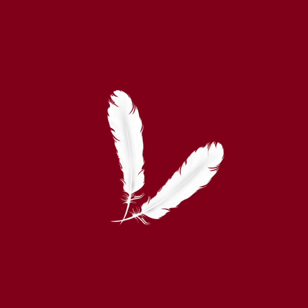 Teasing Tickle Feather for Playful Spicy Fun