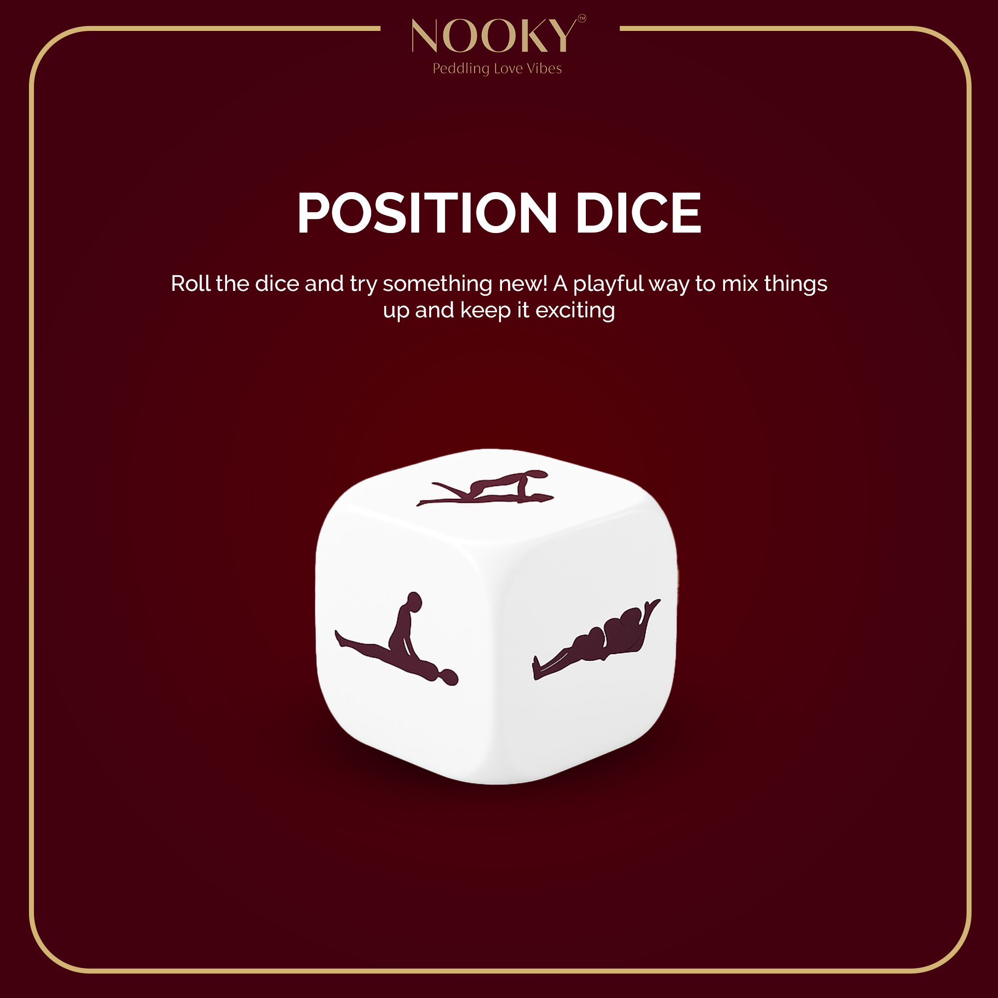 The Dream Box - Saree Edition